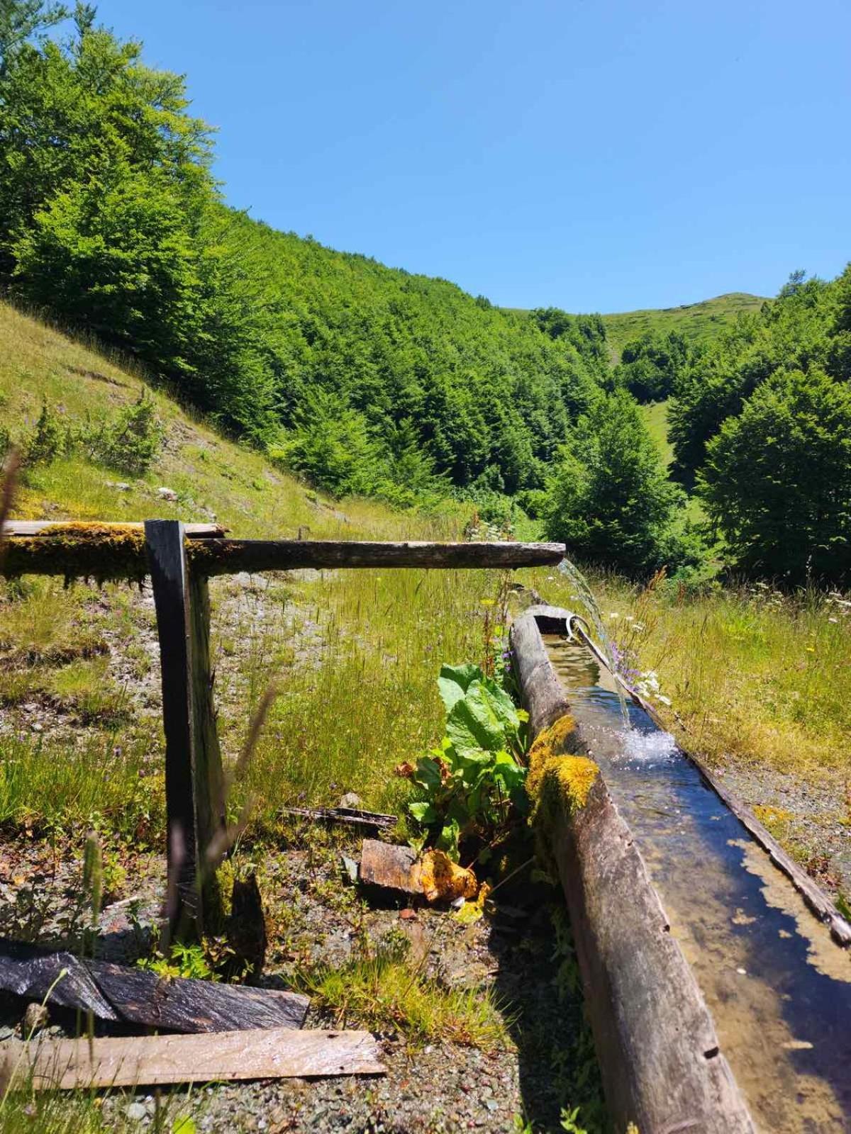 Gusinje Ethno Star Bojovic旅馆 外观 照片